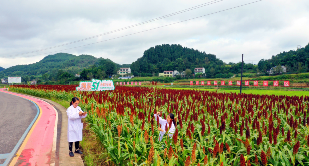 榮獲520社會(huì)責(zé)任日ESG營(yíng)銷(xiāo)最佳案例