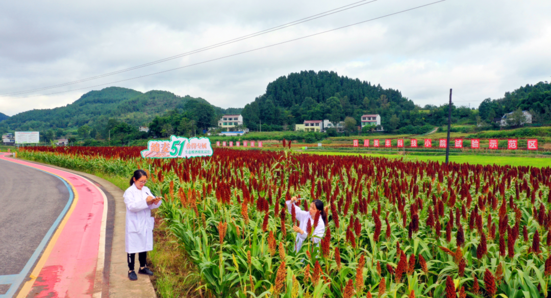 中央一號文件首提科技小院：四川美豐在西南地區(qū)已建立五所