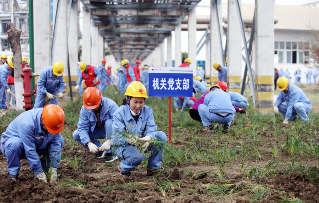 公司各單位開展植樹節(jié)活動