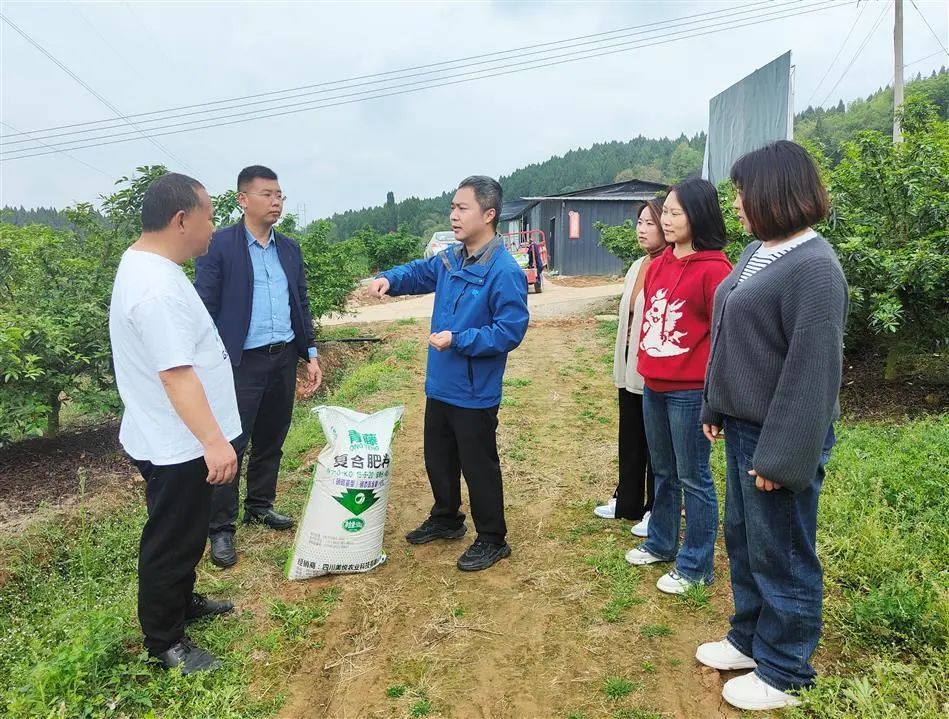 旌陽融媒：愛心化肥送上門 助力生產(chǎn)暖人心