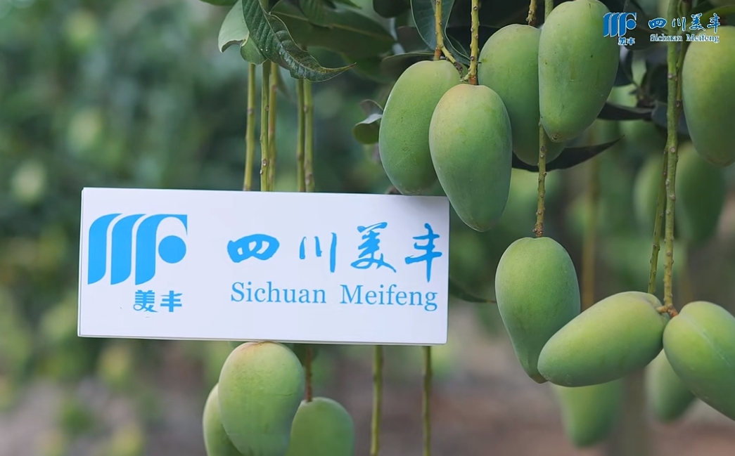 南方農(nóng)村報(bào)：?美豐系列新品熱銷海南，讓品質(zhì)提升更輕松