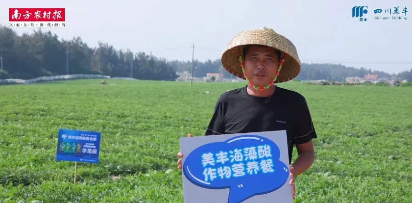 南方農(nóng)村報(bào)：美豐發(fā)力，海南島瓜果翻倍甜蜜