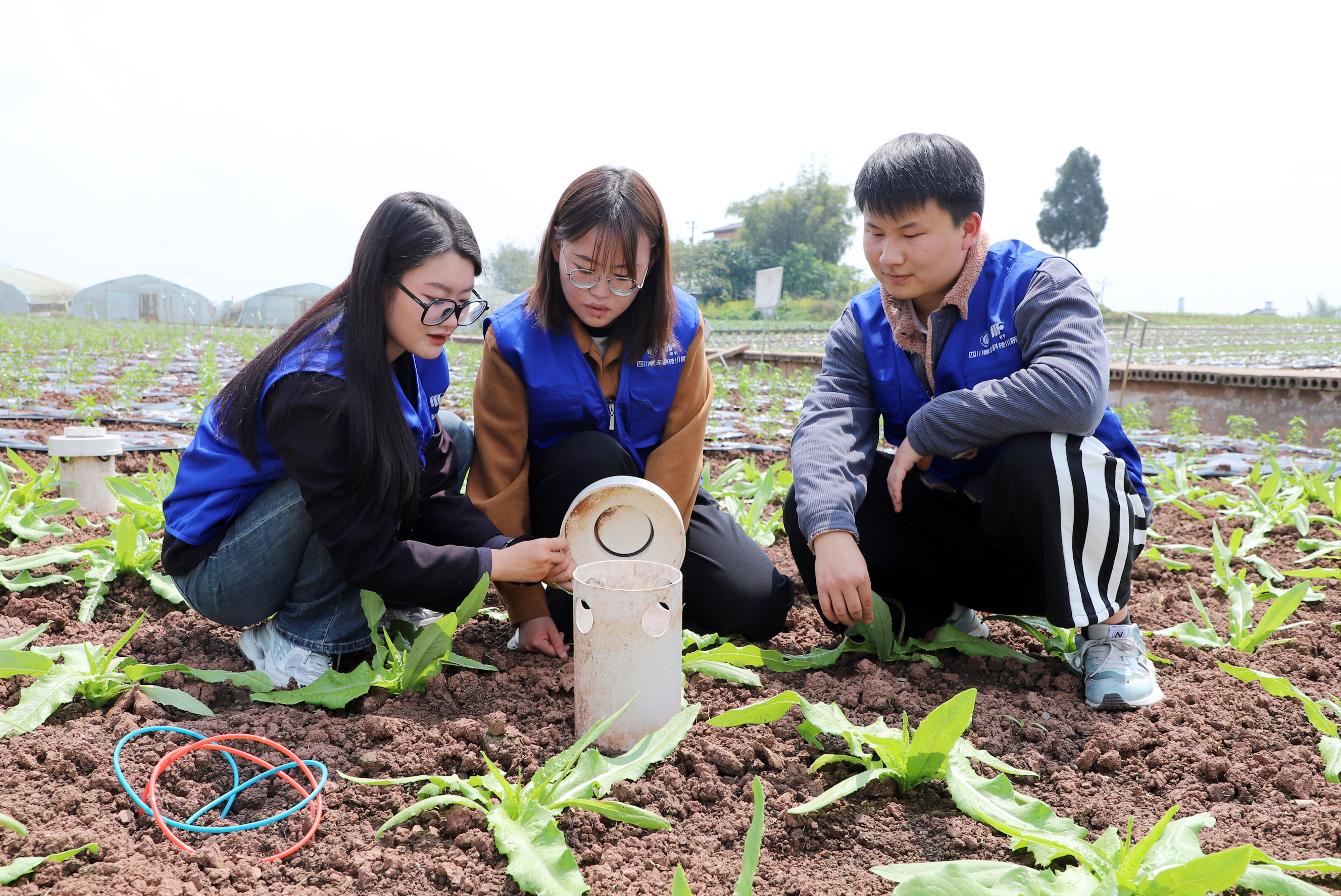 「自找苦吃」是一種怎樣的體驗？